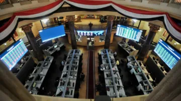 «ناس» الإماراتية تزيد ملكيتها في رأس مال «سماد مصر» إلى 51.4%