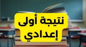 نتائج الصف الأول الإعدادي في الجيزة برقم الجلوس عبر الخدمة الصوتية (رابط مباشر عند صدورها)