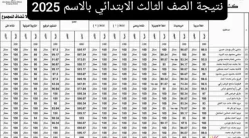 نتائج الصف الثالث الابتدائي 2025 في محافظة الجيزة للفصل الدراسي الثاني باستخدام رقم الجلوس أو الاسم من خلال بوابة التعليم الأساسي بالجيزة