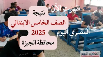 نتائج الصف الخامس الابتدائي في الجيزة متاحة الآن رسميًا مع المساعد الذكي ورقم الهاتف (رابط)