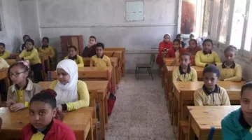 نتائج امتحانات نهاية العام لصفوف النقل في القاهرة 2025.. أصبحت متوفرة الآن