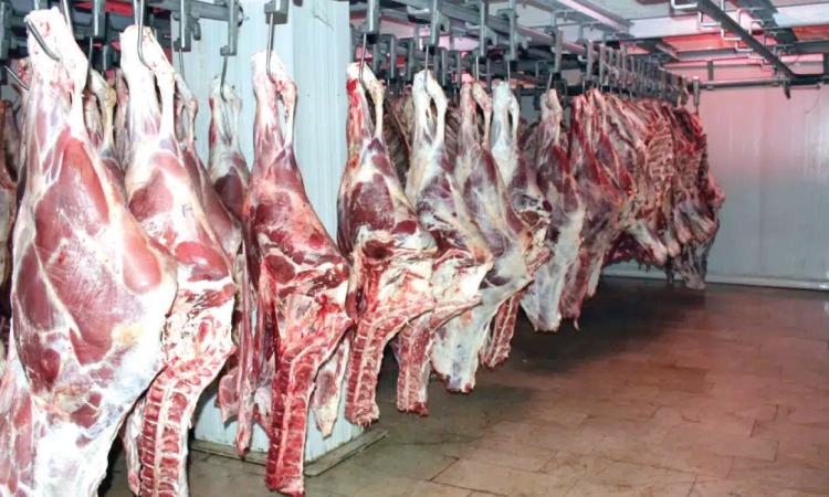 نتائج جهود الحكومة لتلبية احتياجات المواطنين من اللحوم ومنتجات الألبان