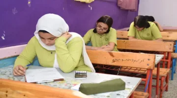 نتائج شهادة المرحلة الإعدادية 2025 برقم الجلوس.. اكتشف التفاصيل هنا