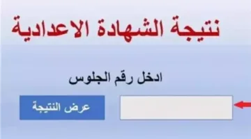 نتيجة الشهادة الإعدادية 2025 في الشرقية متاحة عبر رقم الجلوس من خلال الرابط التالي