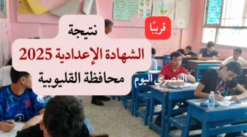 نتيجة الشهادة الإعدادية بمحافظة القليوبية: نجاح 98% في التربية الفنية وتاريخ الإعلان عن النتائج