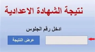 نتيجة الشهادة الإعدادية في دمياط أصبحت متاحة الآن من خلال هذا التطبيق.