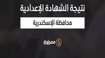 نتيجة الشهادة الإعدادية في محافظة الإسكندرية: الرابط مع الاسم ورقم الجلوس