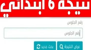 نتيجة الصف السادس الابتدائي للفصل الثاني 2025: الاستعلام بالاسم ورقم الجلوس من خلال بوابة التعليم الأساسي باستخدام الرقم القومي