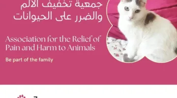 نداء إنساني من جمعية مغربية إلى الملك محمد السادس لمد يد العون للحيوانات المشردة
