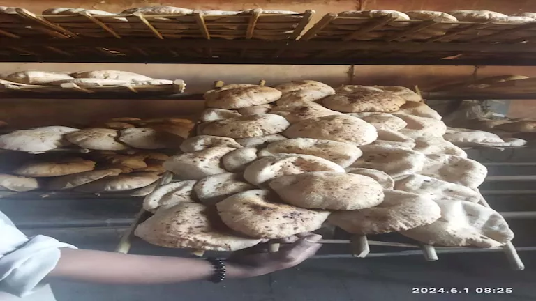 نشرة الأخبار اليومية: تفاصيل حول تعديل أسعار الخبز المدعم وتصريحات ترامب حول التمويل نشرة الأخبار اليومية: تفاصيل حول تعديل أسعار الخبز المدعم وتصريحات ترامب حول التمويل