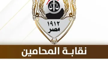 نقابة المحامين تؤجل اجتماع مجلس إدارتها إلى يوم الأربعاء القادم