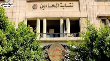 نقابة المحامين تدعم موقف وزارة الخارجية بشأن قافلة الصمود وتؤكد على أهمية احترام السيادة المصرية