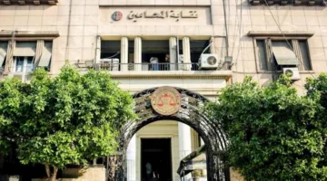 نقابة المحامين تشرع في إجراء تحقيق مع المحامي عمر هريدي بسبب هذا الأمر
