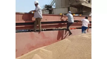 نقدم متطلبات دخول المحاصيل الزراعية إلى الحجر الزراعي