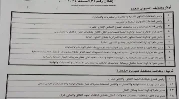 “نقل الكهرباء” تعلن عن 35 وظيفة تشمل مجالات المالية والموارد البشرية.