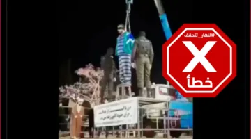 هذا الفيديو لا يوضح عملية إعدام جواسيس الموساد في إيران بشكل علني – فحص الحقائق