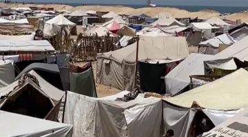 هذا هو إجمالي عدد الأشخاص الذين تم تهجيرهم قسراً حول العالم.