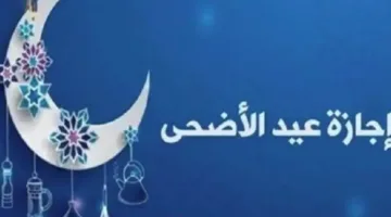 هل الثلاثاء يوم عطلة رسمية؟.. انتهاء إجازة عيد الأضحى 2025 لجميع الموظفين الحكوميين.