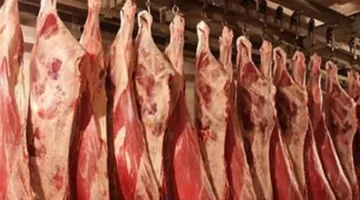 هل ستشهد أسعار اللحوم زيادة بعد عيد الأضحى 2025؟