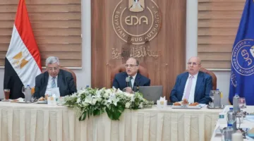 هيئة الدواء: إجمالي مبيعات السوق وصل إلى 309 مليارات جنيه في 2024