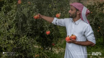 “هيئة فنون الطهي تستضيف اجتماعًا افتراضيًا مفتوحًا لتعريف جولات سلو فوود في المملكة”   
16 يونيو 2025 | 10:14 صباحًا