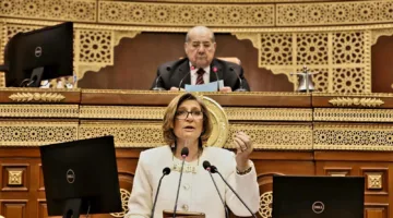 واقع وتطلعات كليات التربية في مصر: دراسة برلمانية تُعرض أمام مجلس الشيوخ الأسبوع المقبل