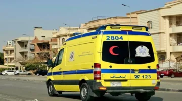 والد الطفلين ضحية شقة العمرانية: والدته اختفت ولا أستطيع الوصول إليها