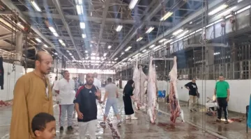 وزارة الزراعة: أكثر من 20 ألف أضحية تم ذبحها في المجازر الحكومية خلال اليومين الأولين من عيد الأضحى