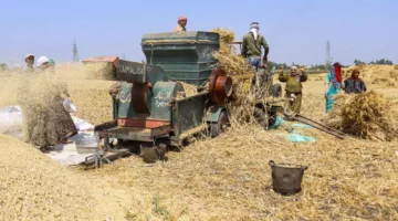 وزارة الزراعة المصرية تُطلع ‘إرم بزنس’ على مبادراتها في اعتماد تقنيات الري الحديثة