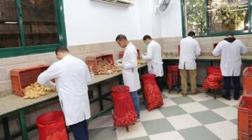 وزارة الزراعة تستعرض أكثر من 1.3 مليون طن من بطاطس المائدة المخصصة للتصدير.