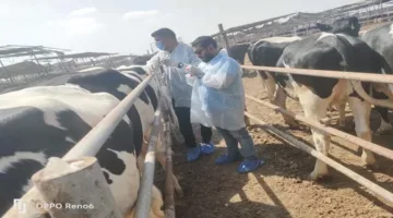 وزارة الزراعة تطلق قوافل طبية وحملات للرقابة الصحية في أسواق اللحوم