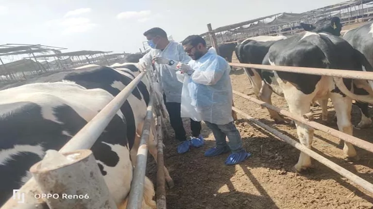 وزارة الزراعة تطلق قوافل طبية وحملات للرقابة الصحية في أسواق اللحوم وزارة الزراعة تطلق قوافل طبية وحملات للرقابة الصحية في أسواق اللحوم