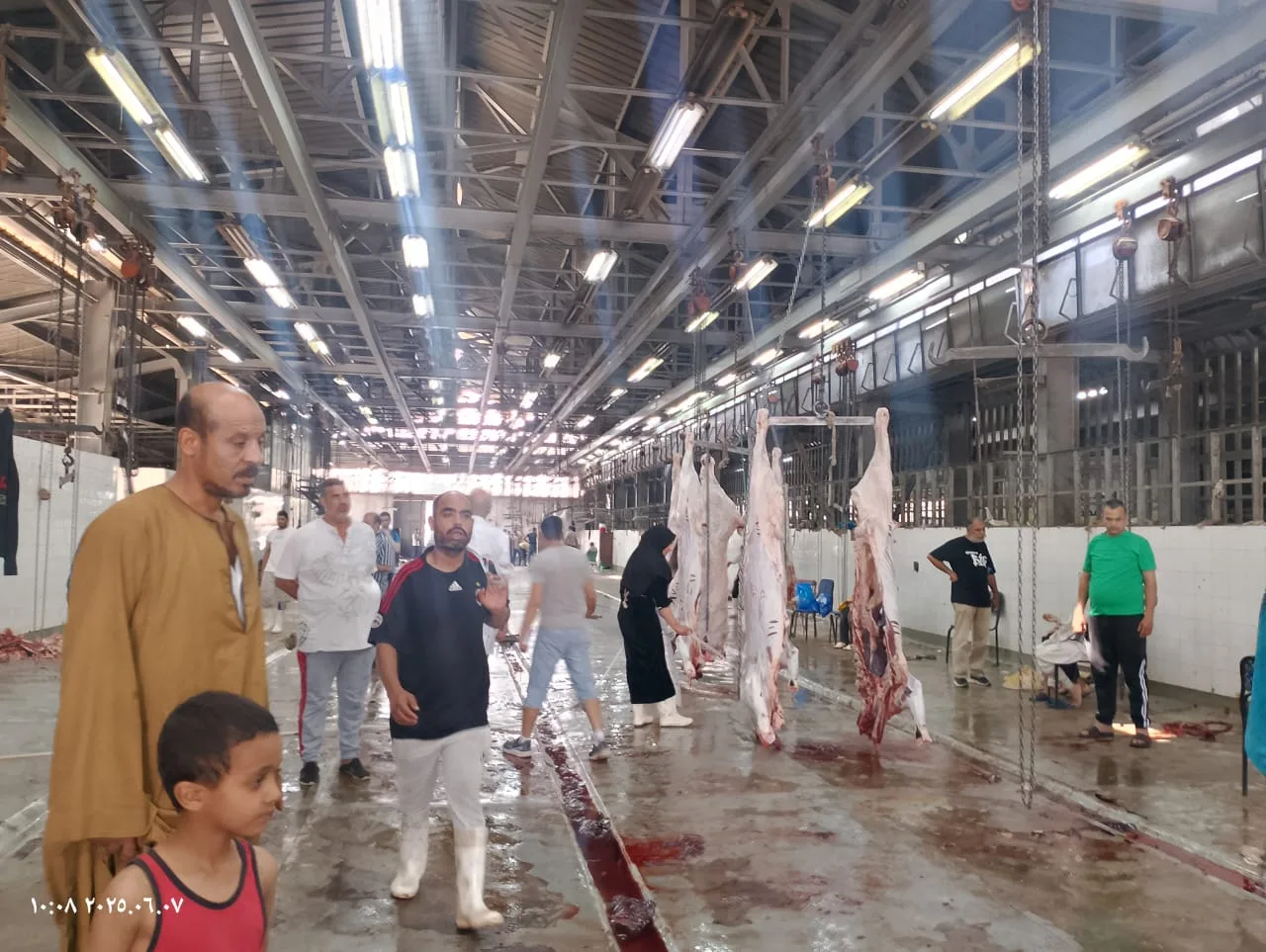 “وزارة الزراعة”: ذبح أكثر من 20 ألف أضحية في المجازر خلال اليومين الأولين من عيد الأضحى “وزارة الزراعة”: ذبح أكثر من 20 ألف أضحية في المجازر خلال اليومين الأولين من عيد الأضحى