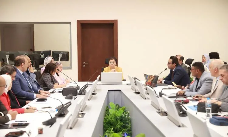 وزارة الصحة تستعرض استراتيجيات تنفيذ الخطة العاجلة للسكان والتنمية وزارة الصحة تستعرض استراتيجيات تنفيذ الخطة العاجلة للسكان والتنمية