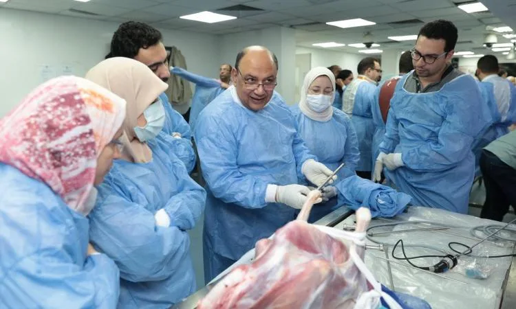 وزارة الصحة تعقد ورشة عمل لأطباء الأمراض الصدرية حول استخدام مناظير الرئة وزارة الصحة تعقد ورشة عمل لأطباء الأمراض الصدرية حول استخدام مناظير الرئة