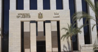 وزارة العمل: إجراء تفتيش من قبل مديرية عمل الوادي الجديد لحماية الأطفال في قرية القصر وزارة العمل: إجراء تفتيش من قبل مديرية عمل الوادي الجديد لحماية الأطفال في قرية القصر
