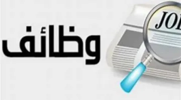 وزارة العمل تفتح باب التسجيل لوظائف جديدة.. رابط التقديم هنا