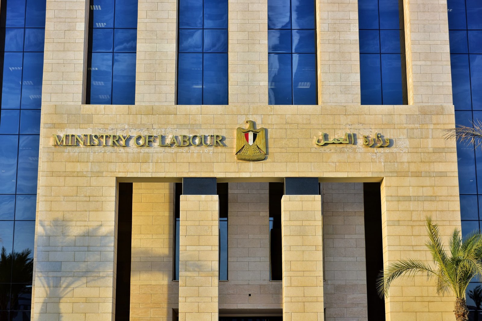 وزارة العمل تنظم ندوة توعوية في القليوبية حول السلامة والصحة المهنية في مصنع ملابس بالخانكة وزارة العمل تنظم ندوة توعوية في القليوبية حول السلامة والصحة المهنية في مصنع ملابس بالخانكة