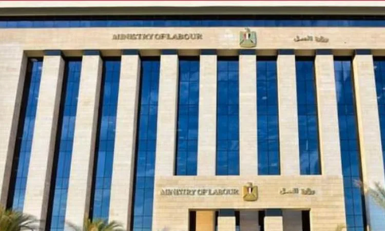 وزارة العمل تُعلن عن إصدار عقود عمل جديدة لأصحاب الهمم في القاهرة. وزارة العمل تُعلن عن إصدار عقود عمل جديدة لأصحاب الهمم في القاهرة.