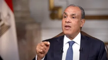 وزير الخارجية: التصور المصري لإدارة السلطة الفلسطينية في قطاع غزة