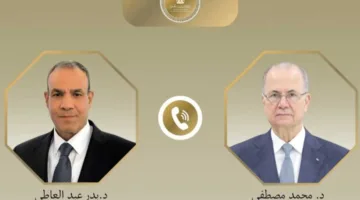 وزير الخارجية: جهود مصرية لتخفيف التوتر العسكري واستقرار الأوضاع في المنطقة