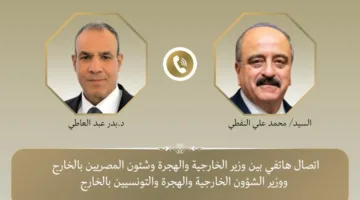 وزير الخارجية: مصر تسعى لتعزيز العلاقات مع تونس لخدمة مصلحة الشعبين