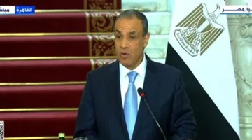 وزير الخارجية: نتعاون مع النمسا في مواجهة الإرهاب والهجرة غير القانونية