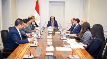 وزير الخارجية يؤكد على ضرورة تعزيز الدور المصري النشط في القارة الإفريقية