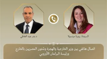 وزير الخارجية يتباحث مع البرلمان الأوروبي بشأن قرار منح مصر القسط الثاني من المساعدات المالية