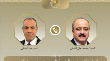 وزير الخارجية يتناول مع نظيره التونسي التطورات السريعة في المنطقة