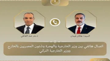 وزير الخارجية يثني على التقدم في العلاقات الثنائية بين مصر وتركيا