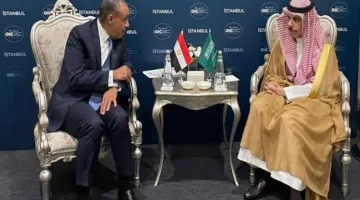 وزير الخارجية يثني على العلاقات الأخوية بين مصر والسعودية