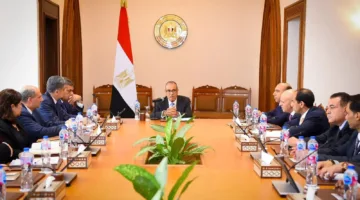 وزير الخارجية يثني على مركز القاهرة لحل النزاعات: من أهم وسائل الدبلوماسية الوقائية في إفريقيا