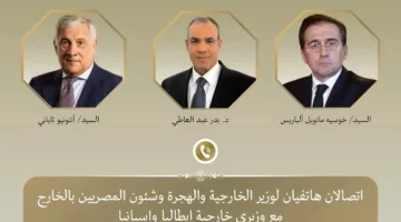 وزير الخارجية يحذر نظراءه الإيطالي والإسباني: الاعتداءات الإسرائيلية تمثل تصعيداً مقلقاً يهدد استقرار وأمن المنطقة